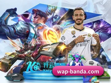 业务扩张 - 市场覆盖范围大幅扩大,合作品牌阵容持续壮大,用户基数稳步增长。